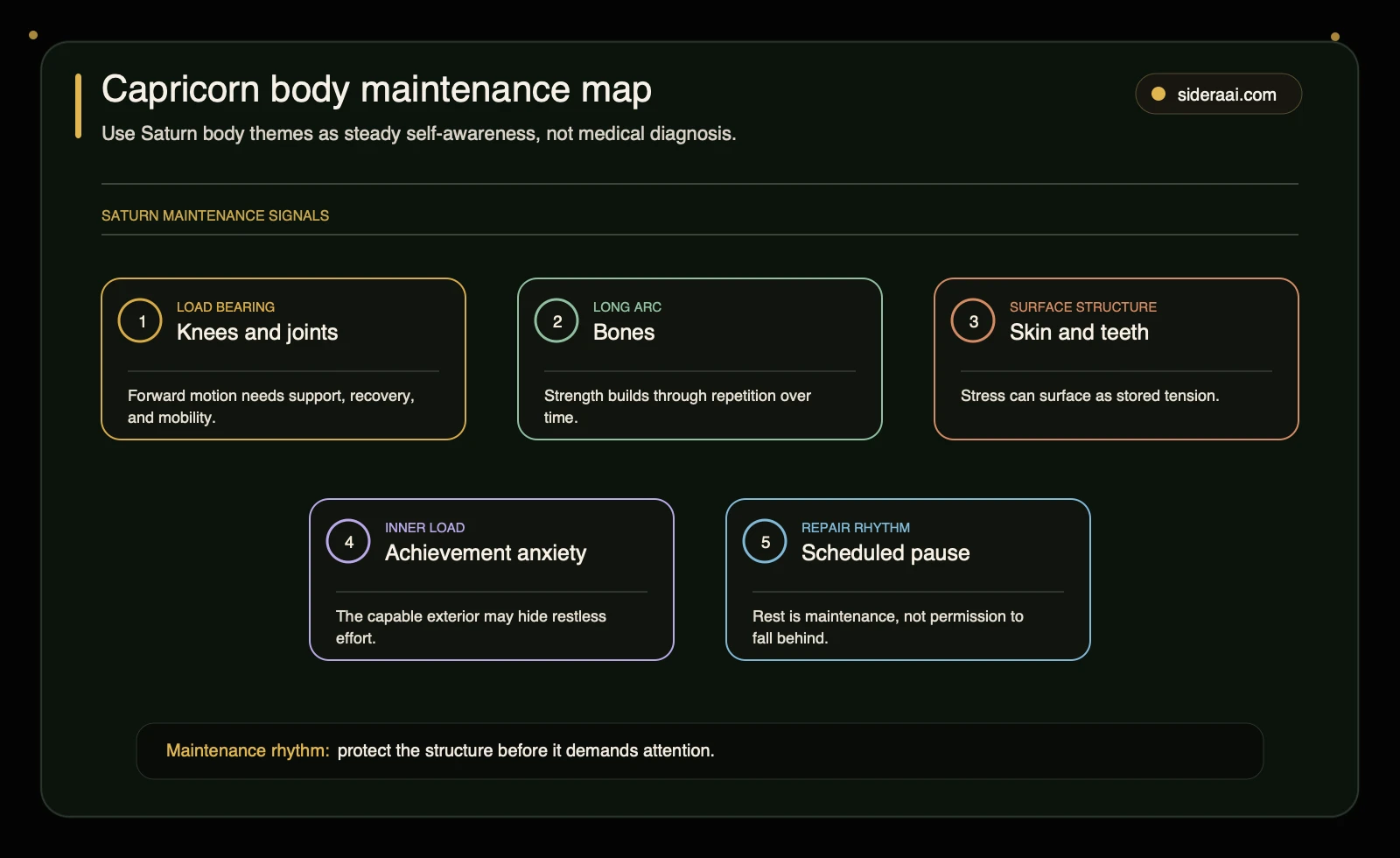 Sun in Capricorn body maintenance map Capricorn body maintenance map showing knees joints bones skin teeth and mental load as Saturn-ruled care areas